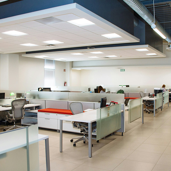 Pest Control for Offices