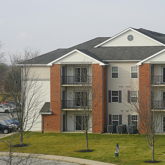 Pest Control for Property Management