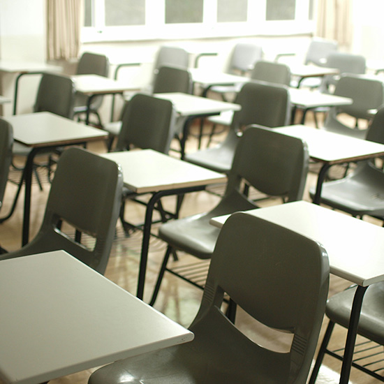 Pest Control for Schools